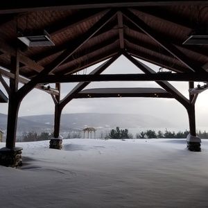 Meet your Posher, Ronnie